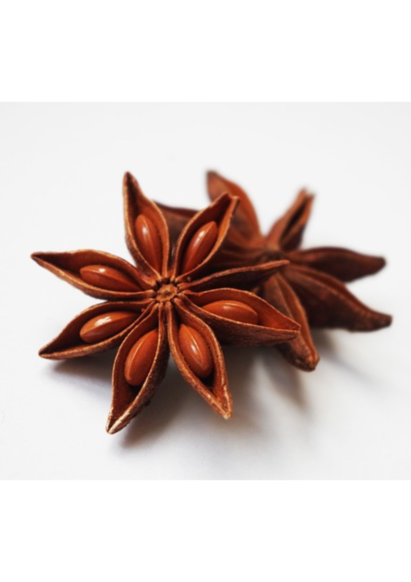 ANICE STELLATO in POLVERE - cibobenessere