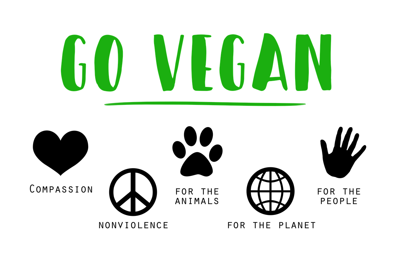 Zenzero Disidratato Naturale Senza Zucchero - Snack Salutare