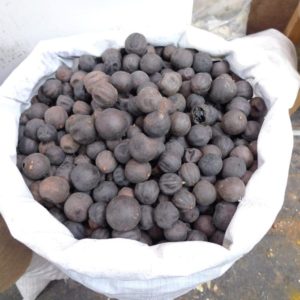 Lumi dell'Oman (black lime)