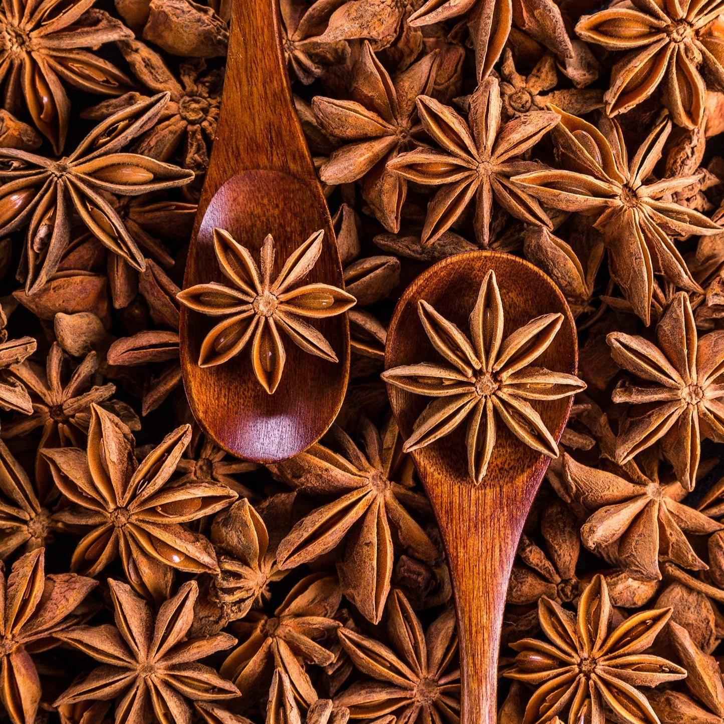 Anice stellato frutto - cibobenessere