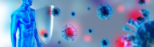 IL SISTEMA IMMUNITARIO – Lo Scudo Contro Virus ed Infezioni - cibobenessere