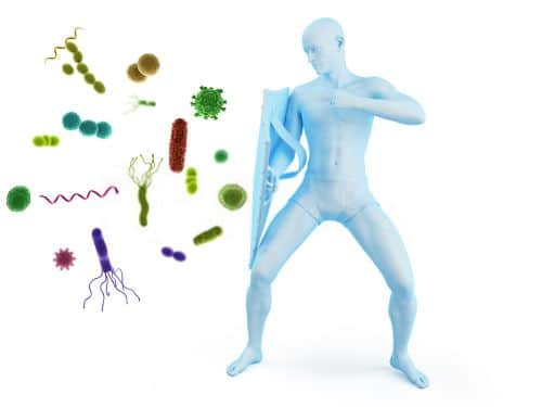 STOP A BATTERI E VIRUS!!! Difendi il Tuo Sistema Immunitario - cibobenessere