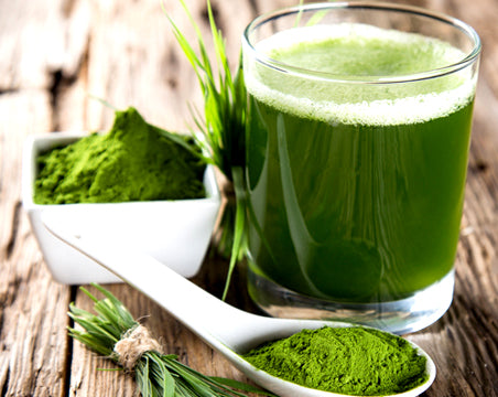 TÈ MATCHA BIO - cibobenessere