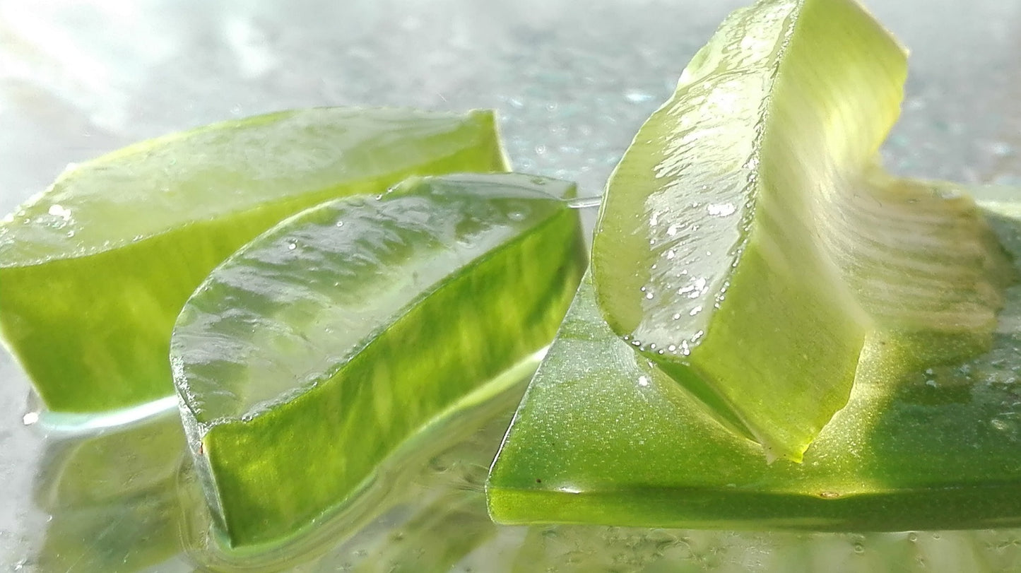 ALOE - cibobenessere