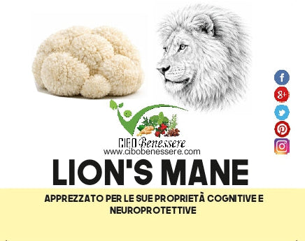 Lion's Mane Capsule Biologiche - Fungo Medicinale Certificato Bio