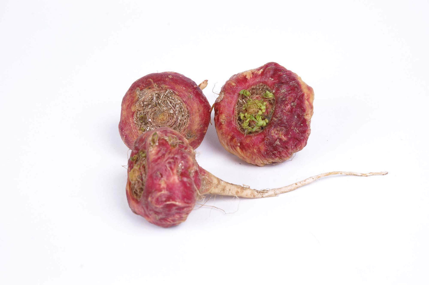 MACA ROSSA BIO