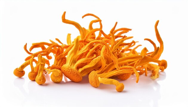 CORDYCEPS e REISHI Biologico (ganoderma) in capsule vegetali biologiche - cibobenessere