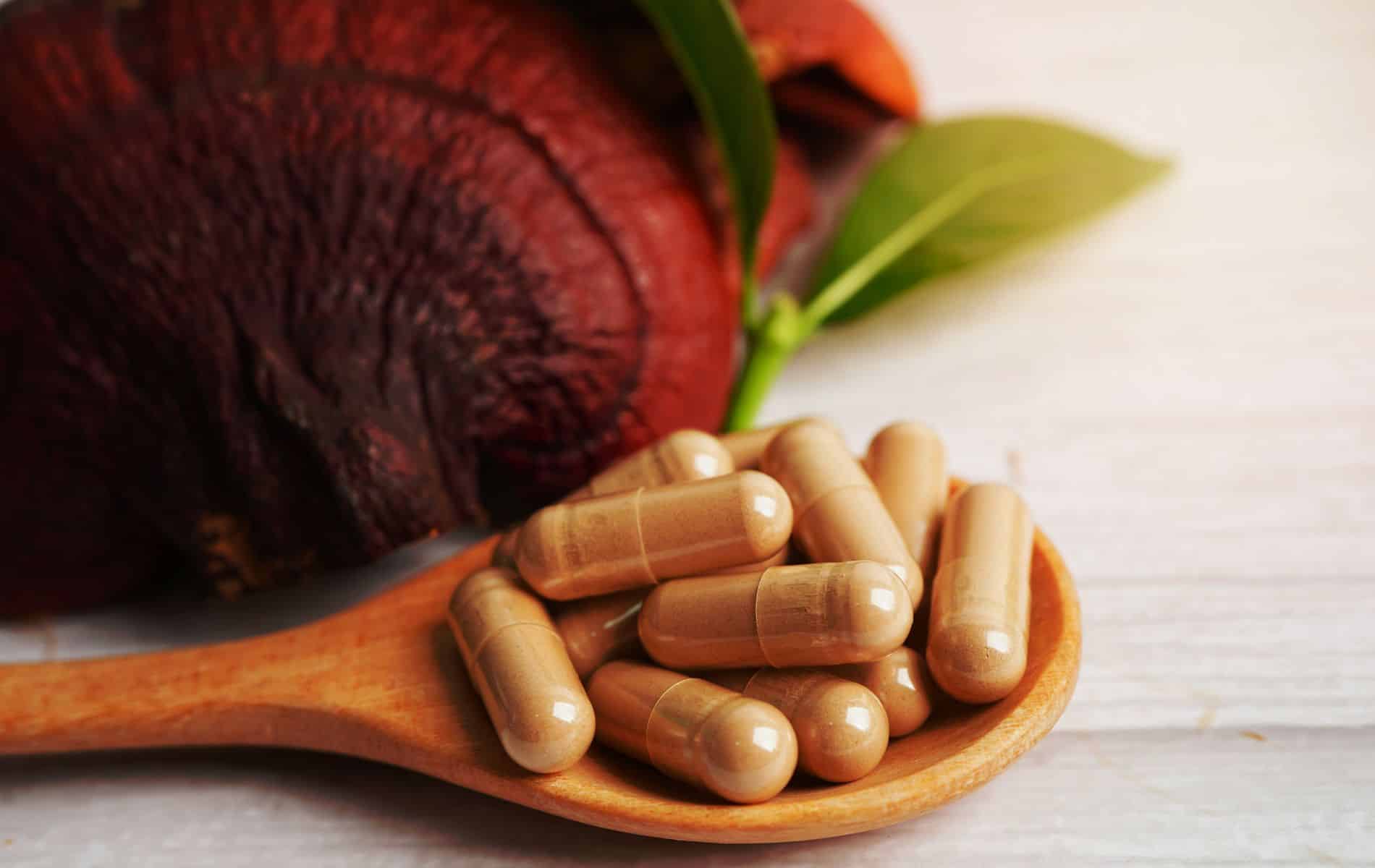 funghi REISHI Biologico (ganoderma) capsule vegetali - cibobenessere