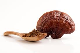 funghi REISHI in polvere Biologico (ganoderma) - cibobenessere
