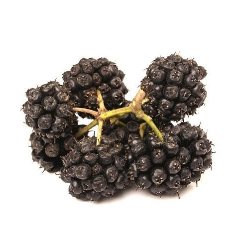 GINSENG SIBERIANO (eleuterococco) - cibobenessere