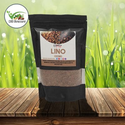 Semi di Lino - cibobenessere