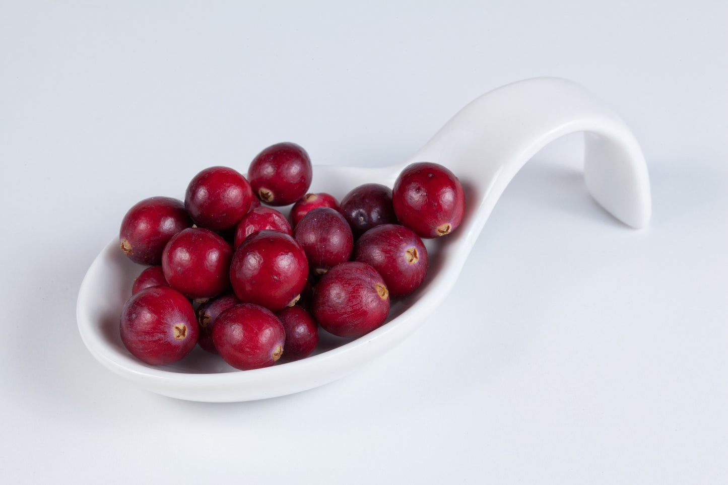 Cranberries - mirtillo rosso SENZA ZUCCHERO - cibobenessere