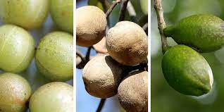 TRIPHALA bio caps - cibobenessere