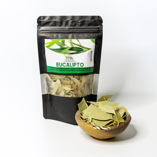 Eucalipto in Foglie
