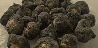 MACA NERA BIO - cibobenessere