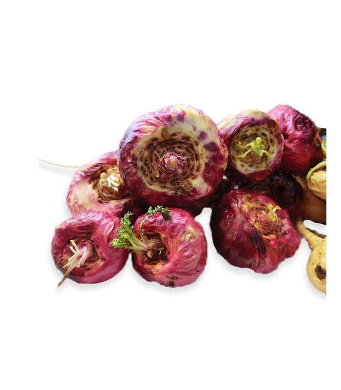 MACA ROSSA BIO CAPS - cibobenessere