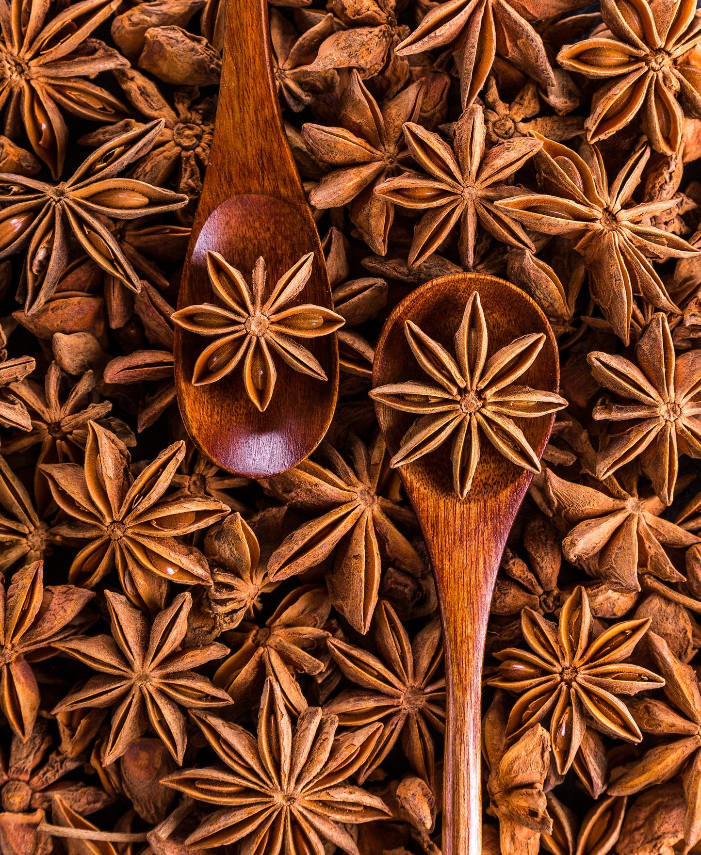 Anice stellato frutto - cibobenessere