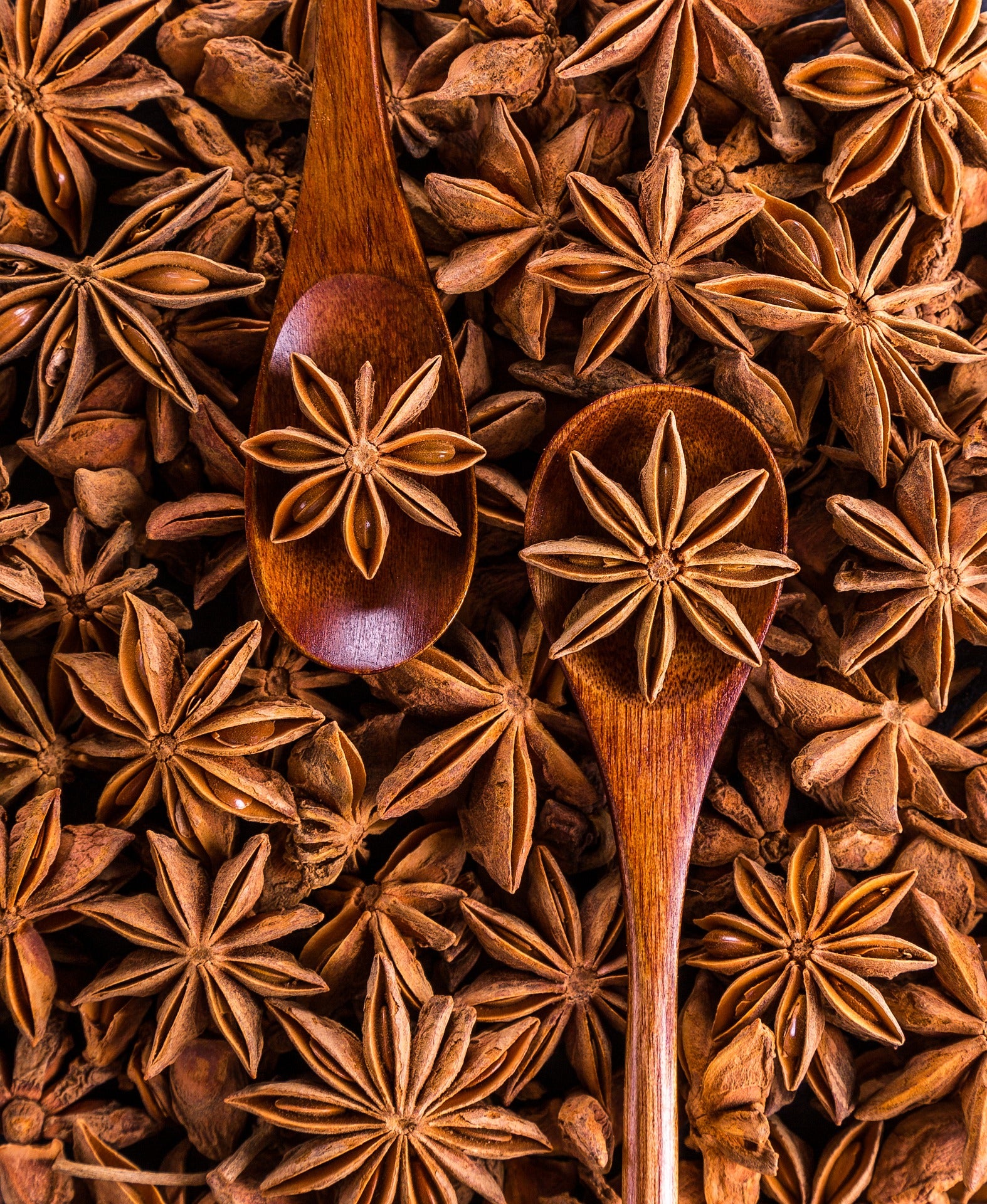 Anice stellato frutto - cibobenessere